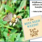 <b>Audible Weed Walk – ep.28 Do Bees (and other pollinators) need weeds?</b>
