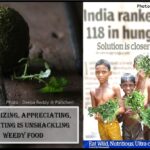 <b>Audible Weed Walk – ep.31 Recognizing, appreciating and eating is unshackling weedy food</b>