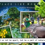 <b>Audible Weed Walk – ep.38 Earth Day: Let us not be apart, but be a part of nature again</b>