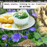 <b>Audible Weed Walk – ep.36 Weedy plants, linking to our tradition – Go Bitters</b>