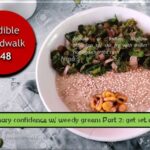 <b>Audible Weed Walk – ep.48 Culinary confidence w/ weedy greens Part 2: get set cook </b>