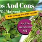 <b>Audible Weed Walk – ep.55 WHY to weed and NOT to weed</b>