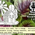 <b>Audible Weed Walk – Ep.77 No Bitters this week - for a change</b>