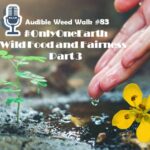 <b>Audible Weed Walk – Ep.83 #OnlyOneEarth - Wild Food and Fairness – part 3</b>