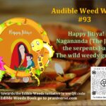 <b>Audible Weed Walk – Ep.93 Nagananda (The Joy of the Serpents), Jitiya, and the wild weedy greens</b>