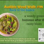 <b>Audible Weed Walk – Ep.98 Back to the basics: a weedy green hummus after the rainy blues</b>