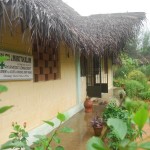 The Ayuervedic clinic