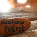 <b>World recognition to Sadhana Forest</b>