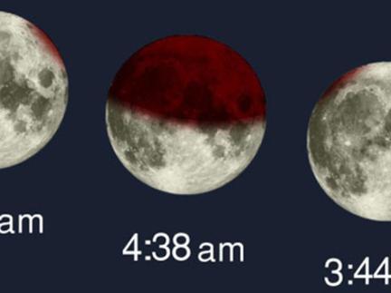 Photographer:Online image | Lunar eclipse 