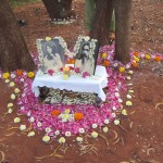 <b>Auroville Institute Integral Health</b>