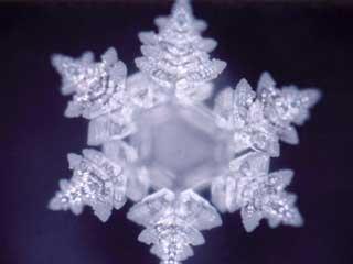 Photographer:web | Water crystal in response to the wordsI love you 