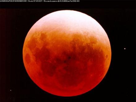 Photographer:web | Total lunar eclipse 