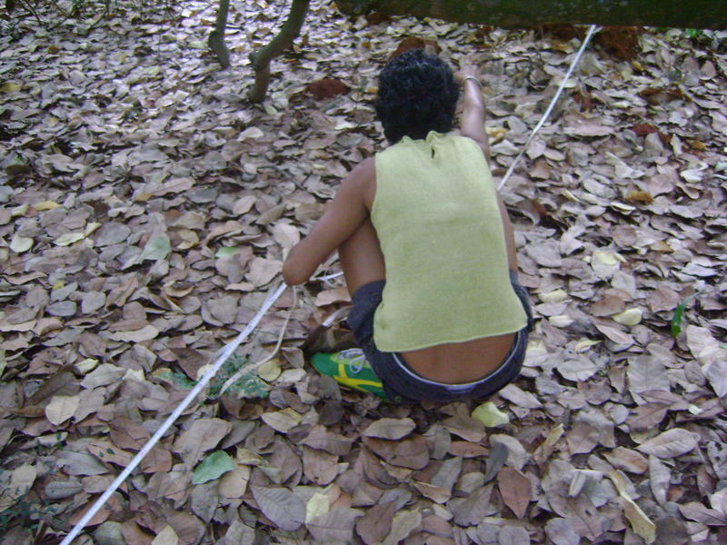 Photographer:Eric | Measurement of the land inside the cashew trees
