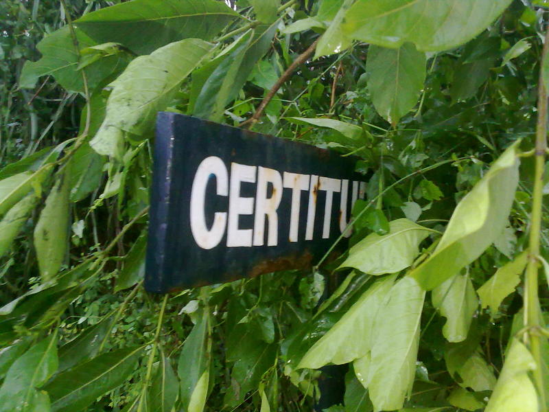 Photographer:Andrea | The Certiture signboard covered by a fallen tree