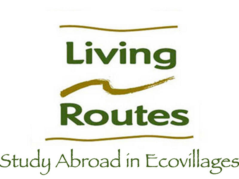 Photographer:Clayton Lewis | Living Routes Auroville Spring 2011