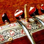 <b>Sustainability and the Sitar</b>
