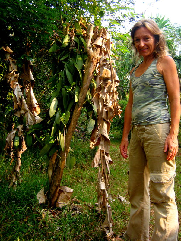 Photographer:Maria | Nathalie with one of her experiment: a vanilla plant in Auroville