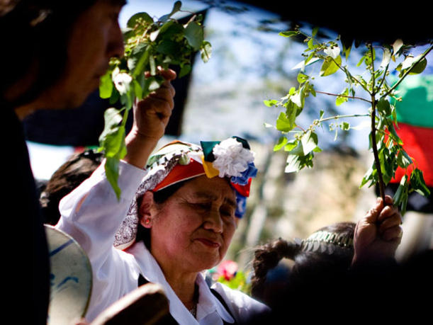 Photographer:web | Mapuche's Sacred Dance 