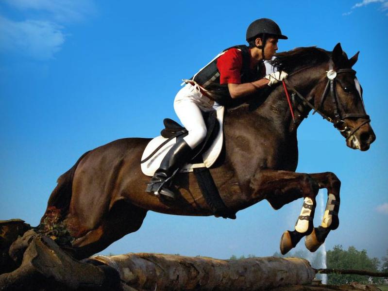 Photographer:web | SouthIndian Equestrian Championship at RERS