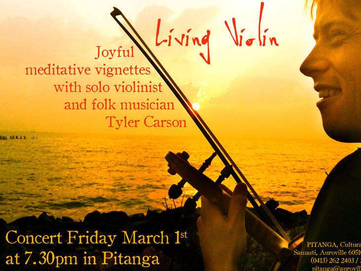 Photographer:web | Tlyer Carson - Living Violin