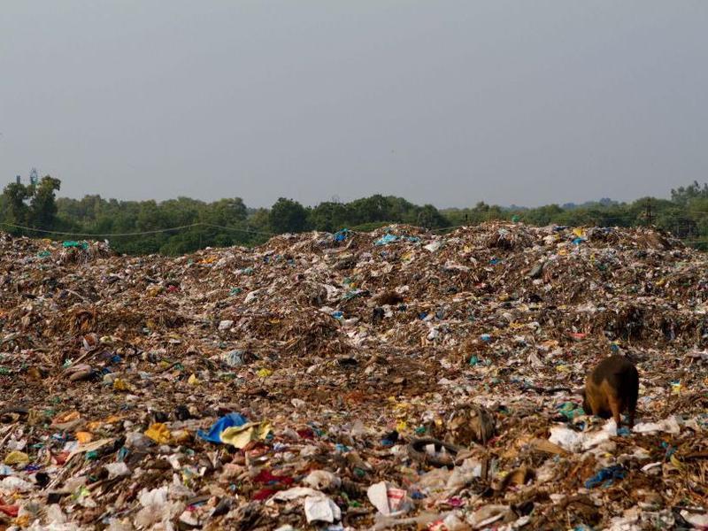 Photographer:web | Garbage - Kuruvadikkupam dump site