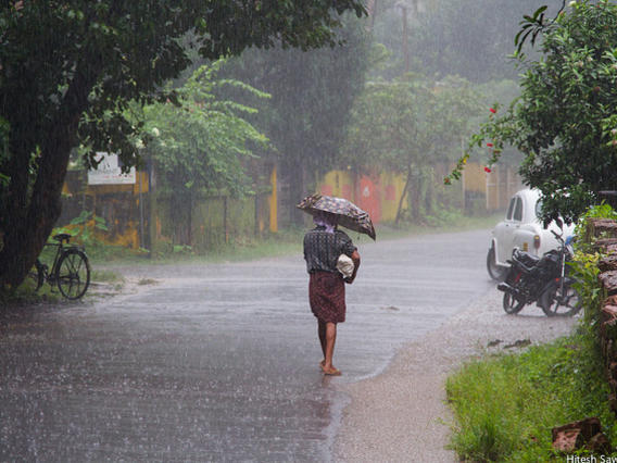 Photographer:web | Monsoon Rain