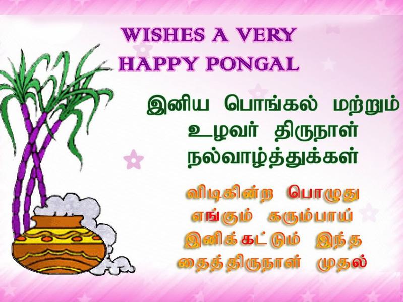 Photographer:web | Happy Pongal