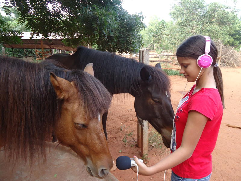 Photographer:Sandrine | Satyamayi recording one horse of Evergreen