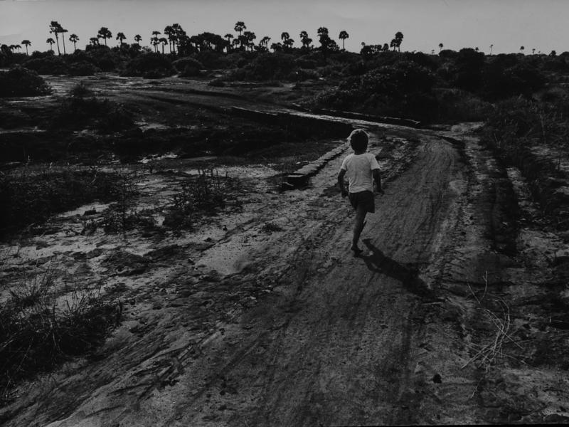 Photographer:Auroville Archives | On the road to building Auroville
