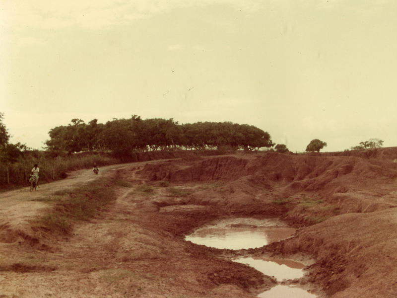 Photographer:Auroville Archives | Bommapalayam- Auroville Road