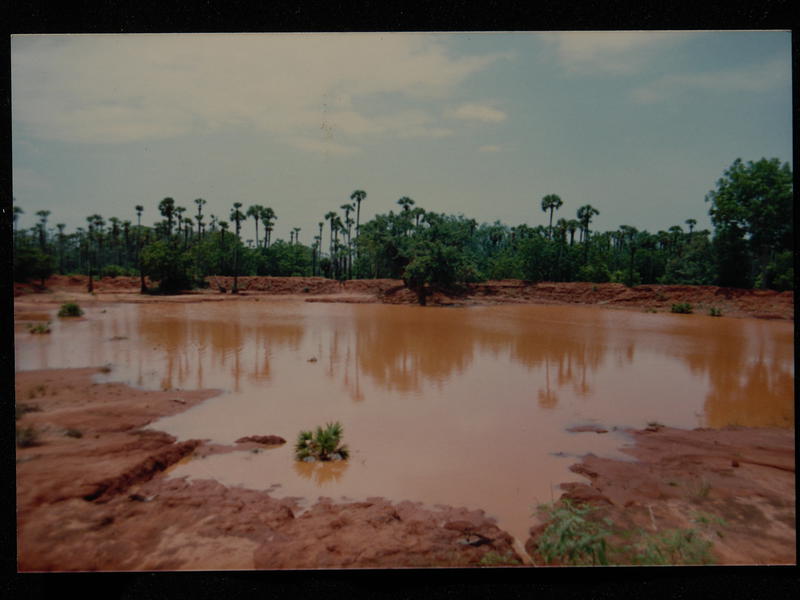 Photographer:Auroville Archives | Water Catchment result