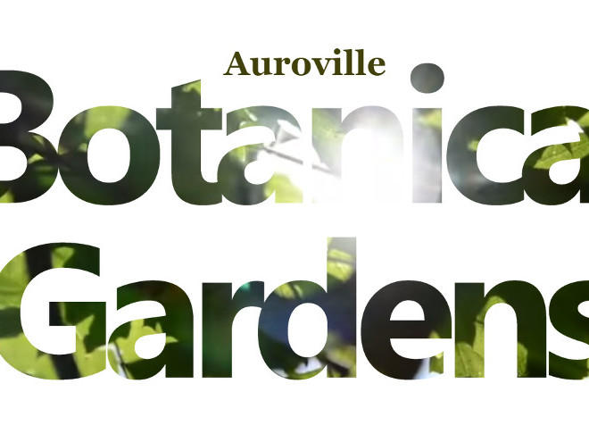 Photographer:web | Auroville Botanical Gardens