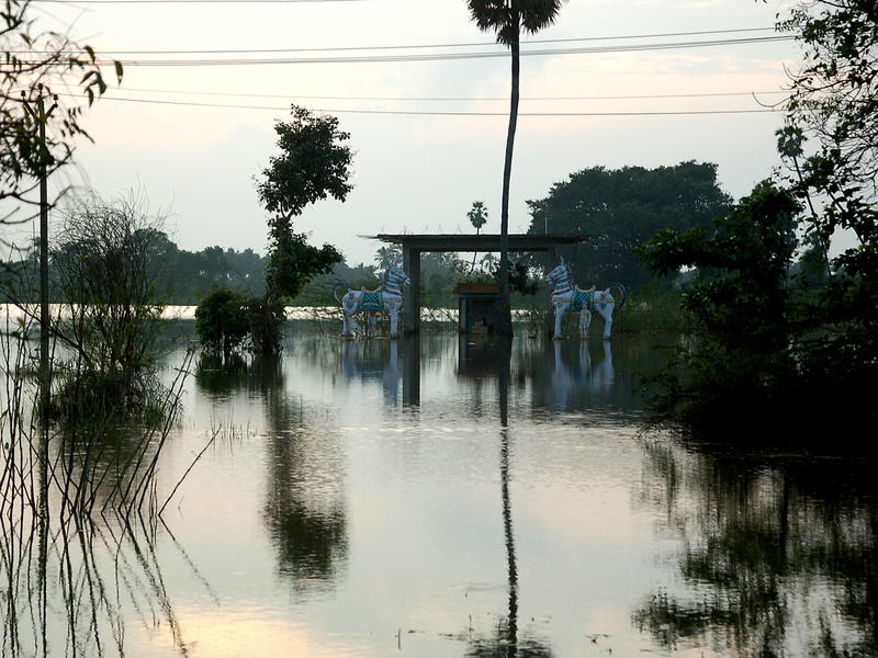 Photographer:Frida | North of Auroville, huge areas are still under water