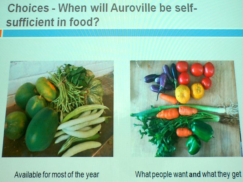 Photographer:Frida | What Auroville farms grow and what consumers ask for