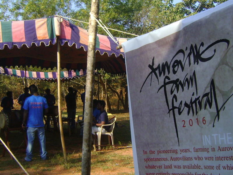 Photographer:Frida | Auroville Farm Festival at the new Foodlink site, near Certitude