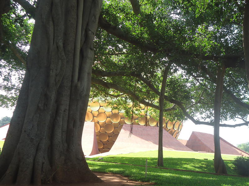 Photographer:web | banyan tree