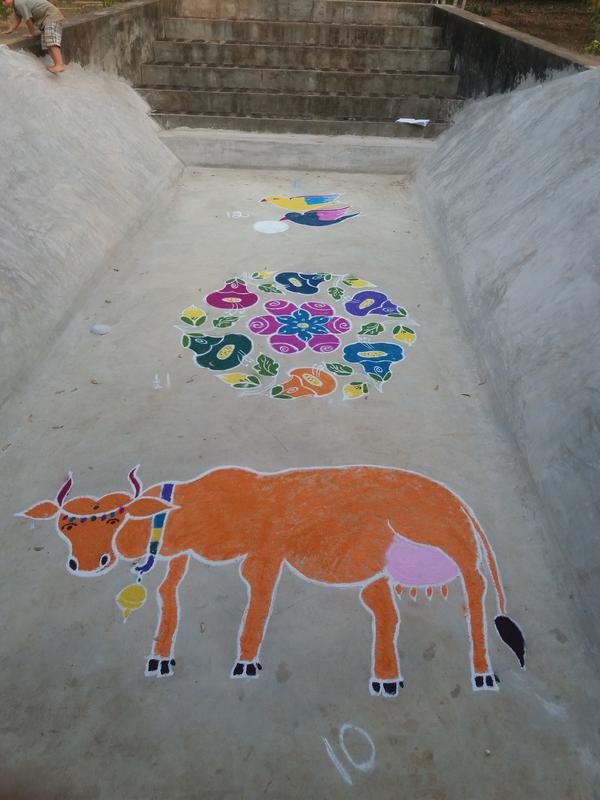 Photographer:David Dinakaran | A tradition of culture, a cow picture in kolam art