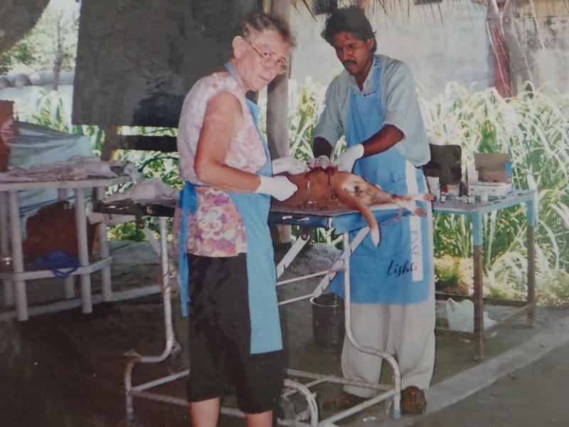Photographer:Romel | Dr. kumar with Mary performing surgery in Auroville