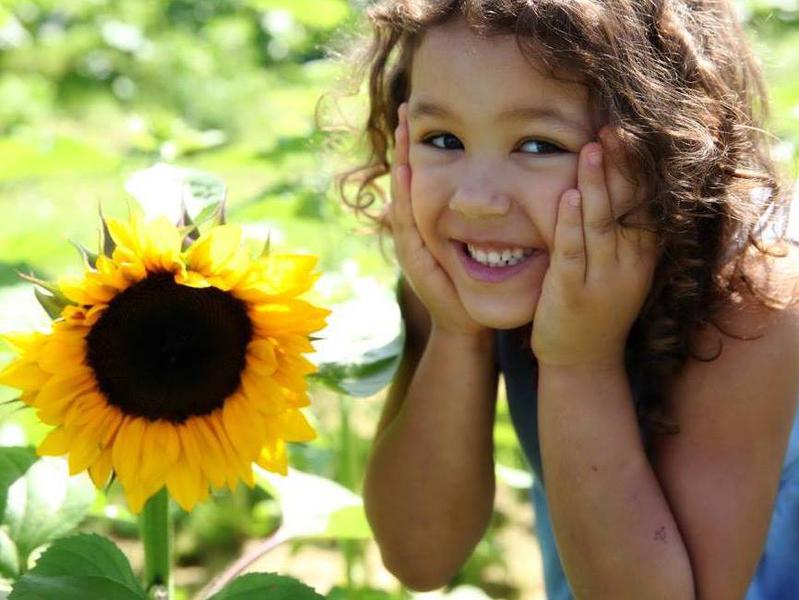 Photographer:web | gril smiling with sunflower