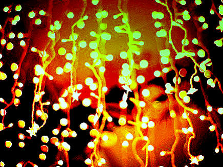 Photographer:web | Christmas Lights