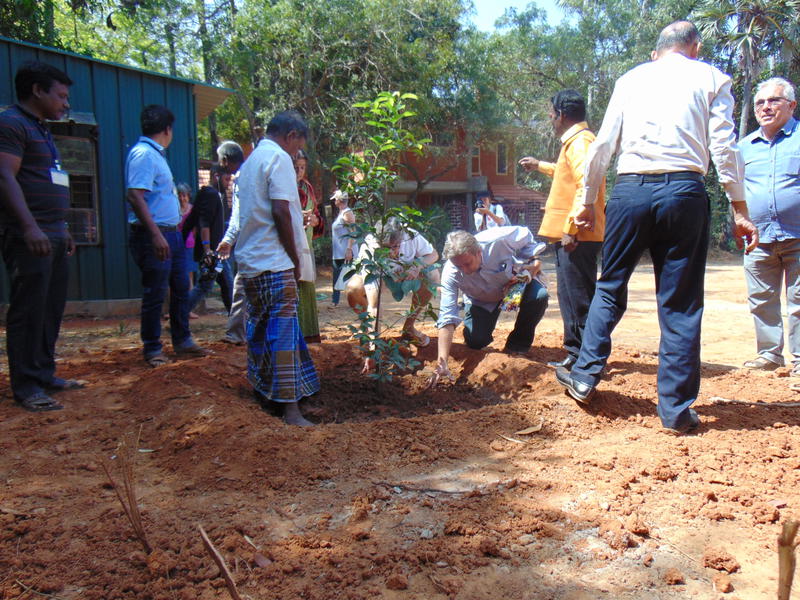 Photographer:Alma | planting Sangam tree