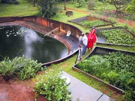 Photographer:web | waste water treatment in Auroville