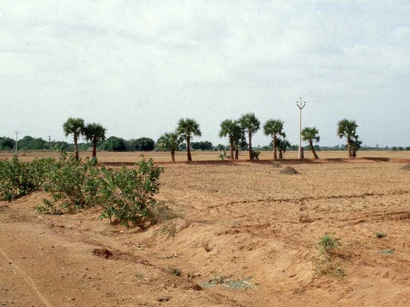 Photographer:Mauro | Il paesaggio era ancora molto arido in quei tempi (foto del 1979 circa)