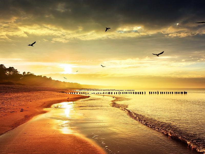 Photographer:web | sunset on the beach