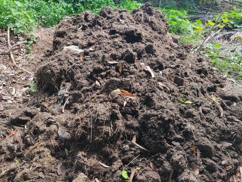 Photographer:Akshay | Fresh manure ready for organic composting at Kottakarai Farm