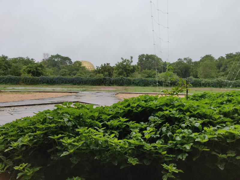 Photographer:Akshay | Auroville on a rainy day