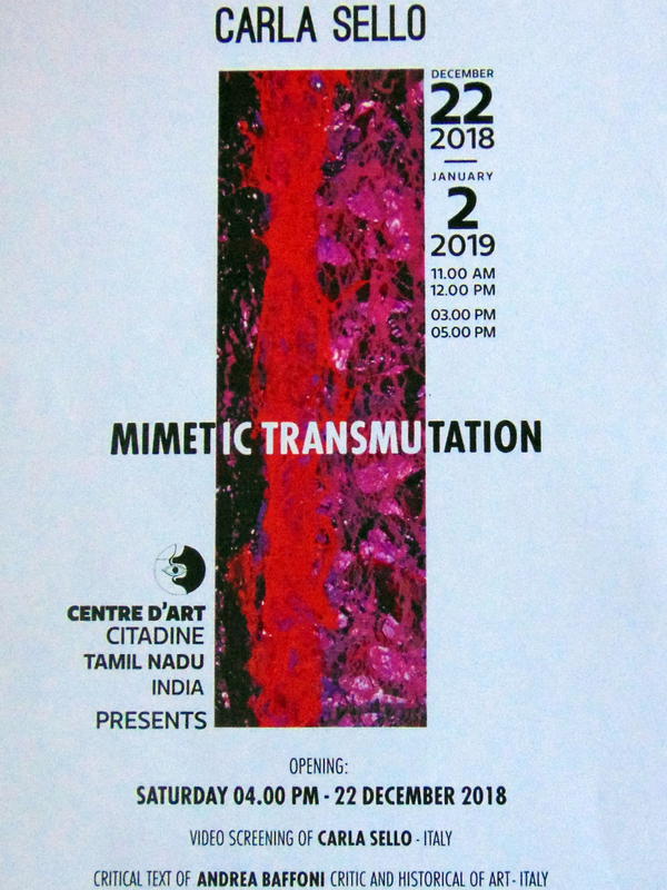 Photographer:Zina | Mimetic Transmutation inauguration on 22nd