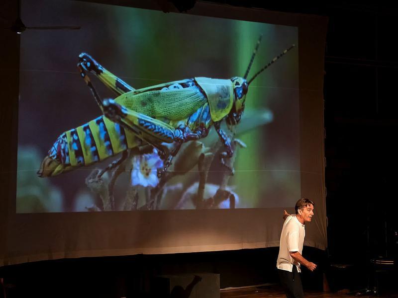 Photographer:Piero Cefaloni | Hamish and the grasshopper